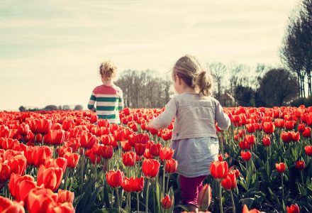 maj 2025